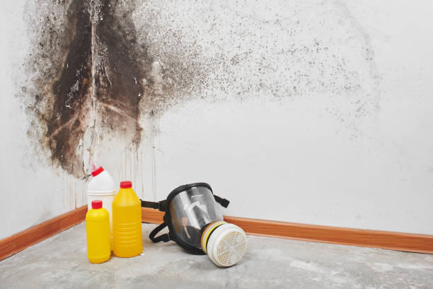 Best Office Mold Removal Services  in Mpo, CA