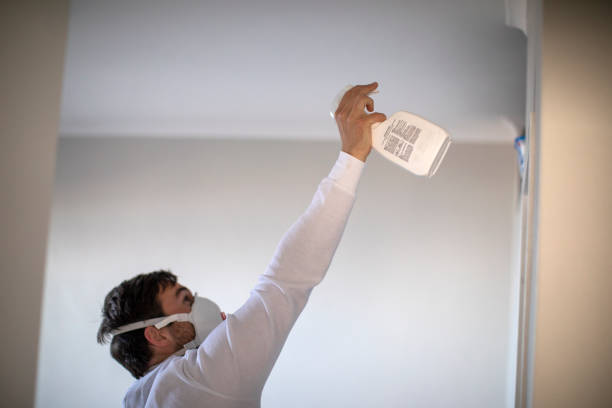 Best Emergency Mold Removal  in Mpo, CA