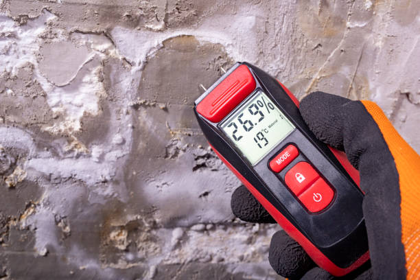 Best Mold Removal Process  in Mpo, CA