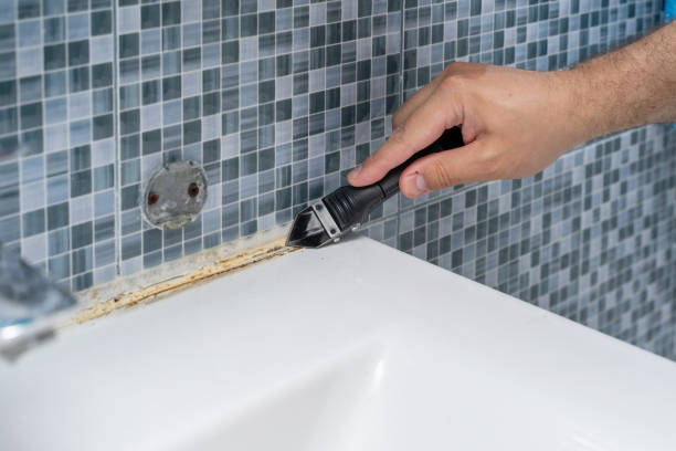 Best Home Mold Removal  in Mpo, CA