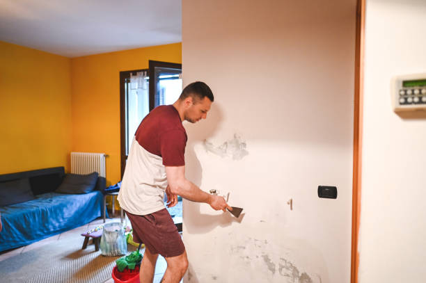Best Crawl Space Mold Removal  in Mpo, CA